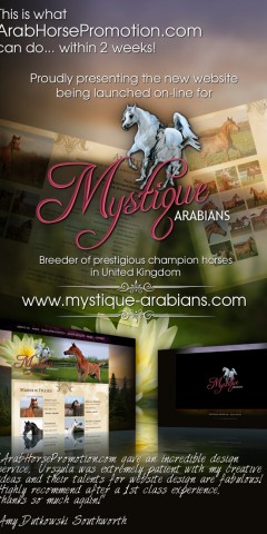 Mystique Arabians