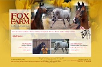 Fox Farm Arabians