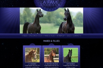 Le Fame Arabians 2.0