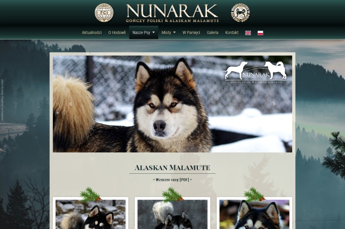 Nunarak - Gończy Polski & Alaskan Malamute