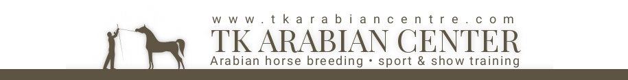 TK Arabian Center