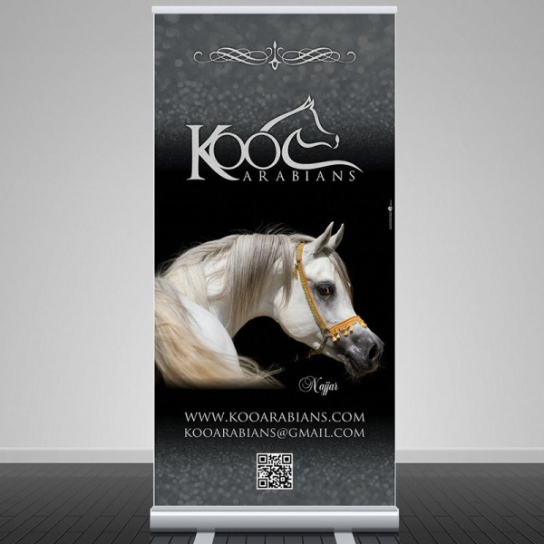 Koo Arabians