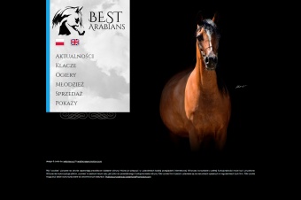 Best Arabians