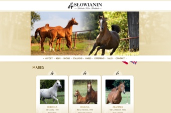 Słowianin Arabians