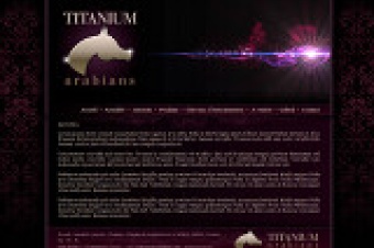 Titanium Arabians