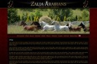 Zalia Arabians